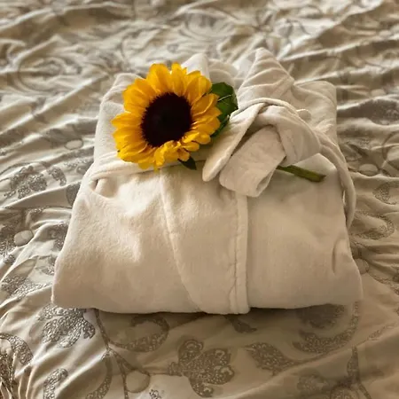 アパート Corte Coppo Deluxe ヴェネツィア